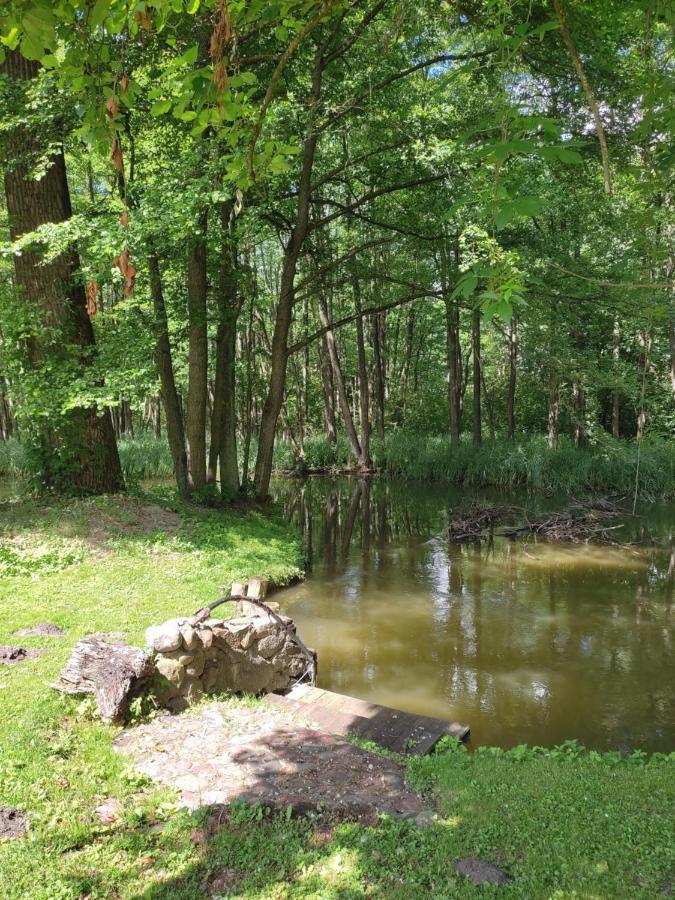 Agroturystyka Kajaki Sauna Pierogi Bakalarzewo Exteriör bild